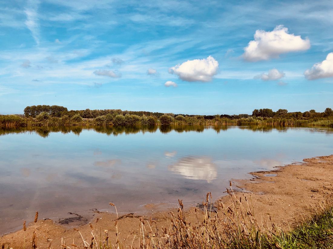 Het Zomerdel in Geestmerambacht met strandje en riet